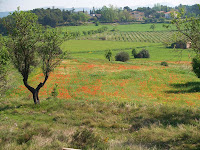 Pla de Bages