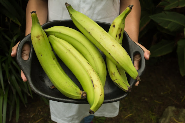 Offrenda di Banane verdi per Shango