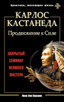 Книга - Карлос Кастанеда. Продвижение к Силе. Закрытый семинар великого мастера - Яков Бирсави