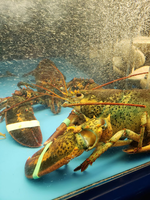 lobster and pho, lobster, pho, Independence Ohio restaurant, seafood boil, cajun, Vietnamese restaurant