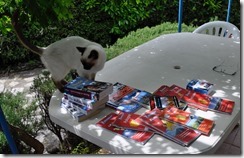 inspection des cartes