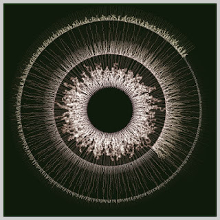 Electric eye made with random walk.