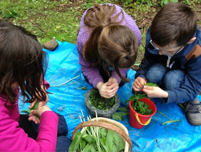 Wild Garlic Pesto Pounding