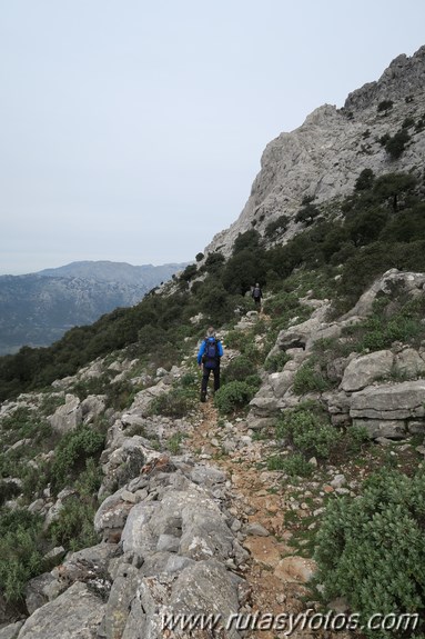 Sierra de los Pinos por las Pulgas