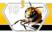 1003 Bees Site Statistics