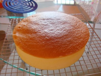 Sponge Cake Recipe ~ Easy Dessert Recipes