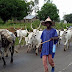 Suspected Herdsmen kill 32 in Nasarawa