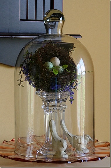 cloche22