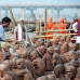 1100 Sadhus perform ‘Pind Daan’ to become Naga Sadhu in Kumbh Mela 2019