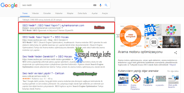 Arama Motoru Optimizasyonu