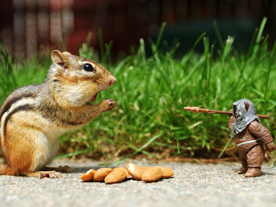 Funny Chipmunk Standard Resolution HD Wallpaper