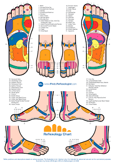 Ear, Foot and Hand Reflexology Pijat Refleksi Telinga 