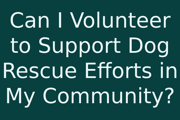 Can I Volunteer to Support Dog Rescue Efforts in My Community?