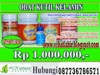 Apa Obat Untuk Kutil Kelamin
