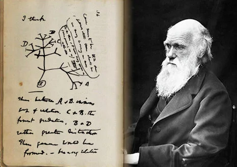 Charles Darwin and his tree