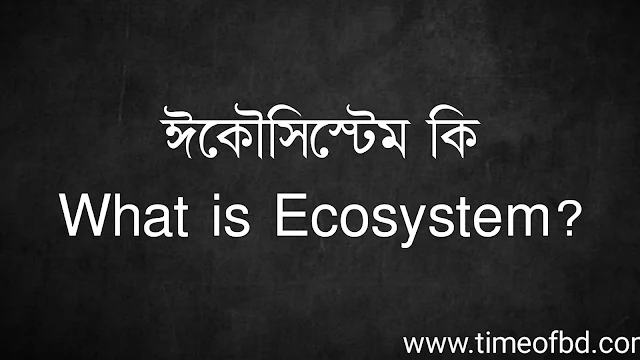 ঈকৌসিস্টেম কি | What is Ecosystem?