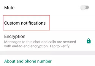 Customise WhatsApp Notification