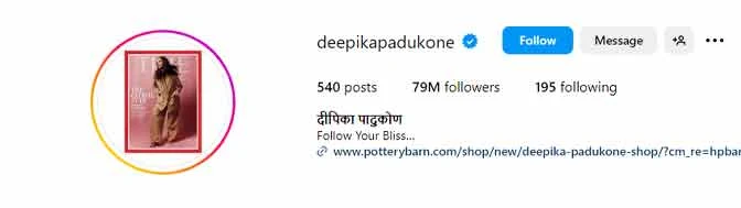 highest instagram followers in india