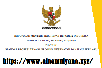 KMK atau Kepmenkes Nomor HK.01.07-MENKES-315-2020 Tentang Standar Profesi Tenaga Promosi Kesehatan Dan Ilmu Perilaku