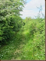 2_chemin-depart_0002