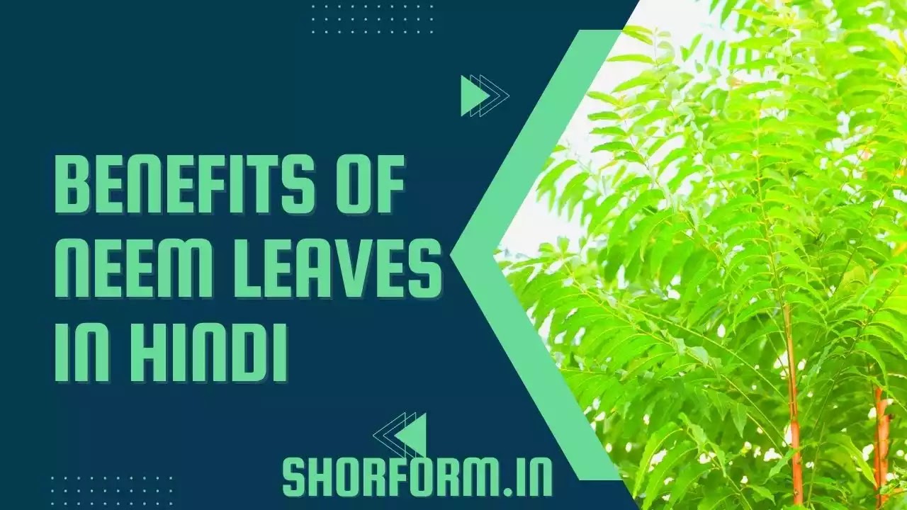 Benefits Of Neem Leaves In Hindi