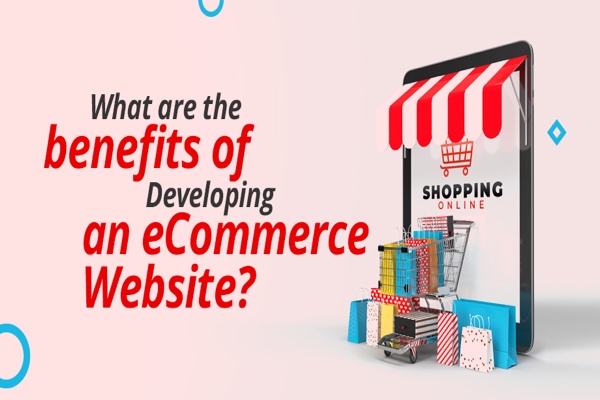 Advantages of Developing an eCommerce Website?