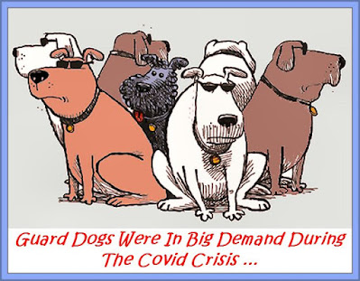 Guard Dogs Were In Big Demand During The Covid Crisis