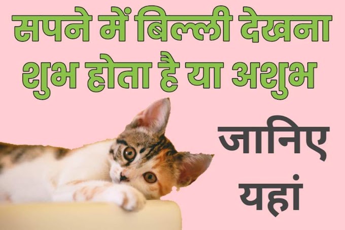 सपने में बिल्ली देखना शुभ या अशुभ, जानिए क्या कहता है स्वप्न शास्त्र - Swapna Shastra