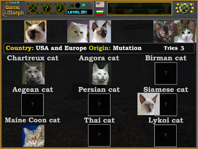 Play Cat Breeds Puzzle