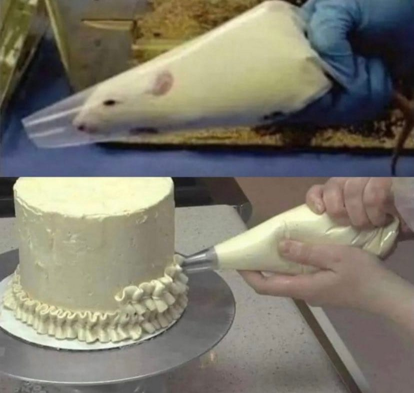 Spassbilder - Torte verzieren mit einer dicken Maus - Kochbilder zum lachen
