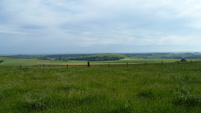 South Downs National Park South Downs Chanctonbury Ring Cissbury Ring Bignor Hill Truleigh Hill Devil’s Dyke Brighton Worthing Steyning Washington Storrington Ashington Hills downs sheep countryside England English South East England Arundel Amberley pond sheep dip dew pond South Downs Way drovers’ tracks vegetation woodland woods Arun river valley Adur river valley scarp slope downland Wiston Park A24 Shoreham by Sea Sompting Chiltington Fulking Poynings A23 Brighton Slindon Chichester Parham House Winchester Midhurst Pulborough Petworth rolling gentle cattle Arundel Castle Bury 