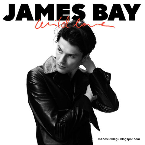 James Bay - Wild Love