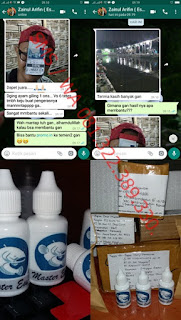 Testimoni Master Essen Ikan Lele