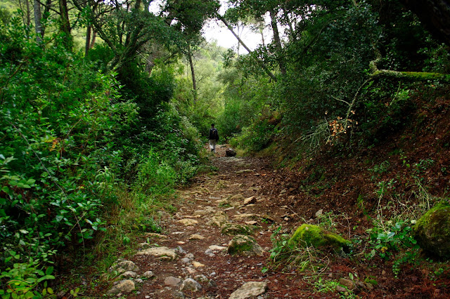 Sendero de la Cuesta de la Traición-El Villar (SL-A-91)