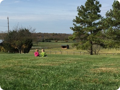 Twins playing outside