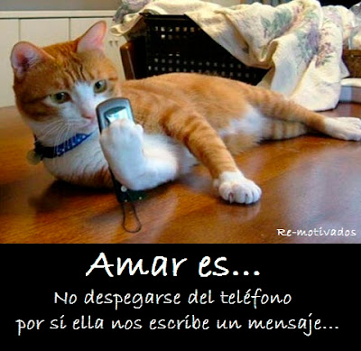 Amar es...