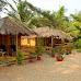 5 Best Beach Huts in Goa that Offer a Unique Experience