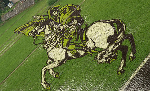 18 Fields That Are Real Works Of Art
