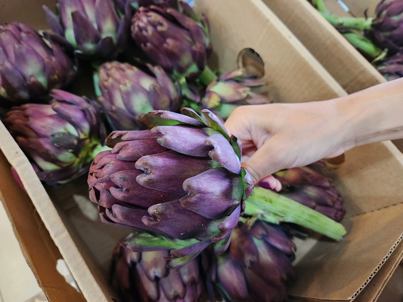 Alcachofra em São Roque onde comprar