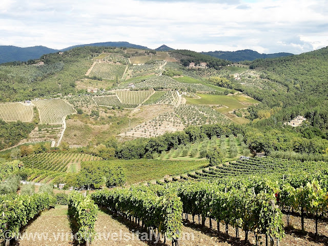 Chianti Classico wine region