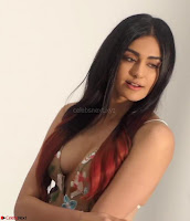 Adah Sharma ~  Exclusive Galleries 001.jpeg