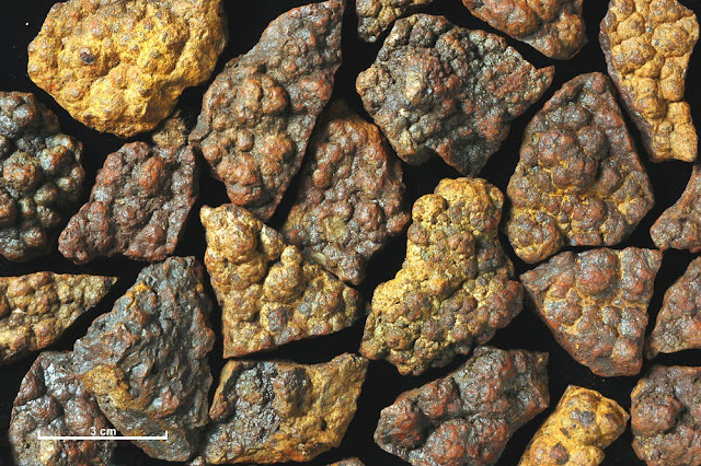 A collection of specimens of iron ore from a vein at the east end of Loch Monar, Ross and Cromarty, showing a distinctive botryoidal form. 