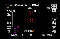 プレ撮影状態アイコン