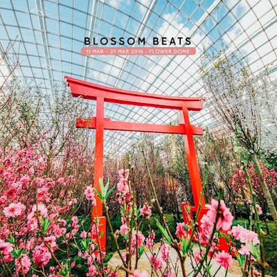 Triển lãm hoa anh đào "Blossom Beats"