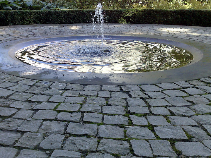 garden,  fountain