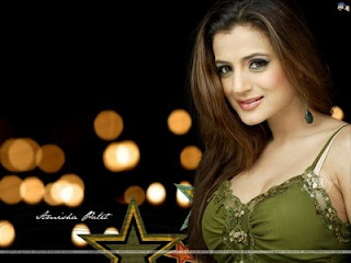 Amisha Patel Hairstyle Photo Gallery