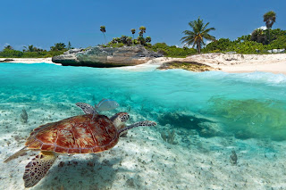 playa del carmen