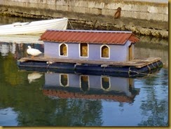 canards galaxidi