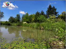 GELAUCOURT (54) - Jardin d'eau de l'Aubepré