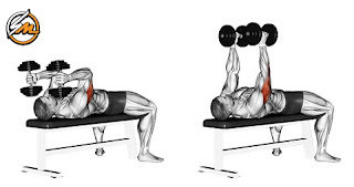 Beginner Chest and Triceps Workouts for Ultimate Success